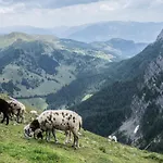 Casa vacanze Almhaus Goldeck Schwaig