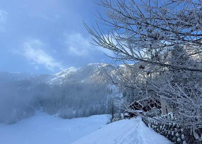 Holiday home Almhaus Goldeck *